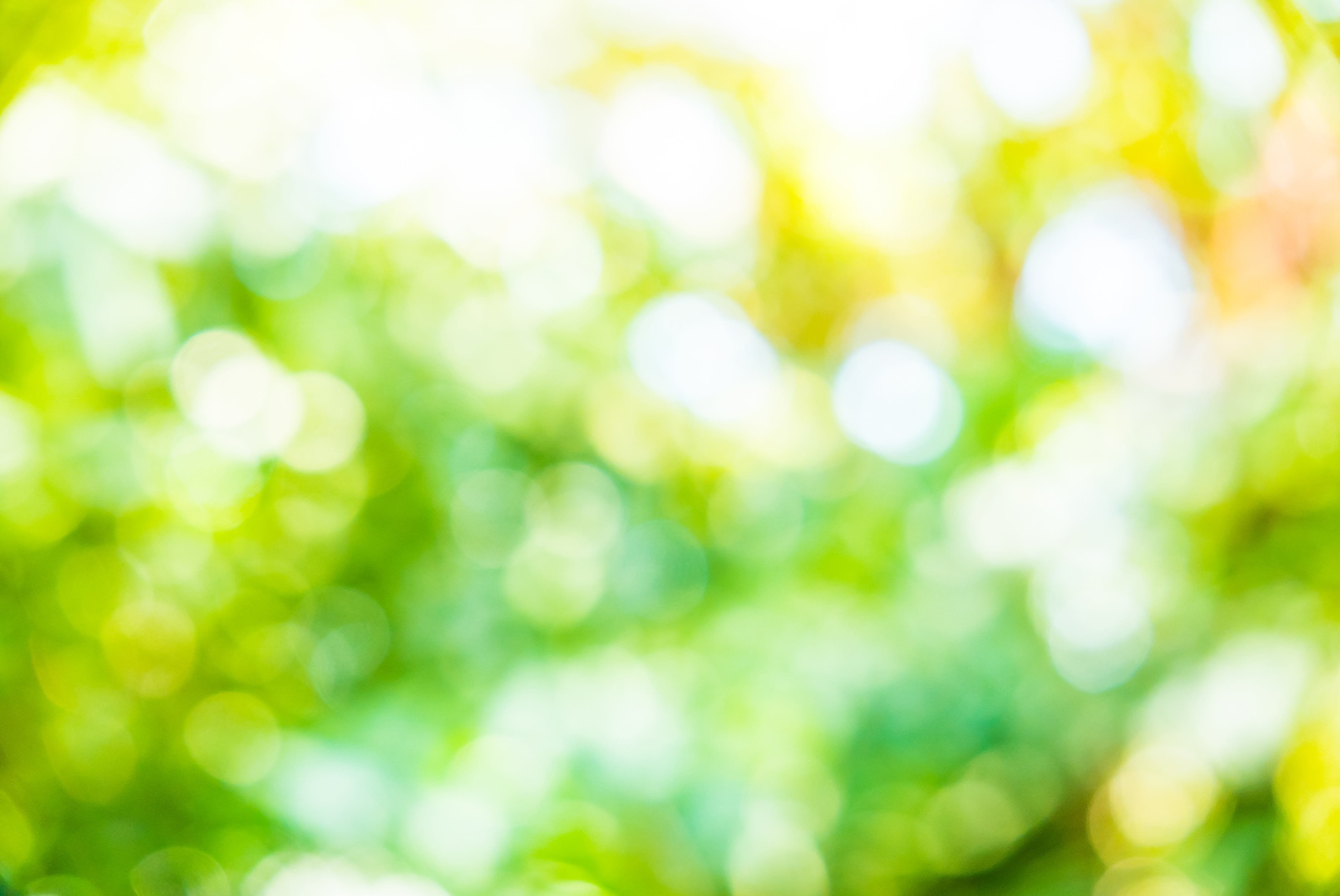 Grafika przedstawia rozmyte zielono-białe tło.